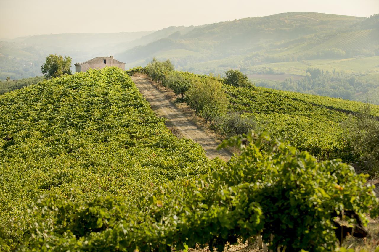 Baldovino B&B Villamagna  Экстерьер фото